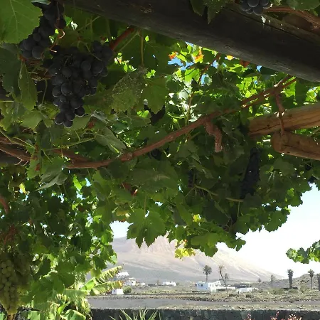 Appartamento Dragos Masdache