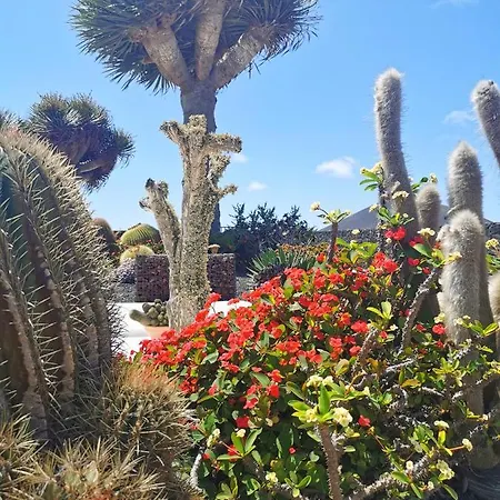 Διαμέρισμα Dragos *